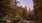 landscape with trees lights and a creek