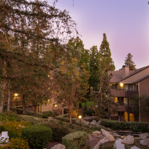 Beautiful landscape landscape with trees lights and a creek